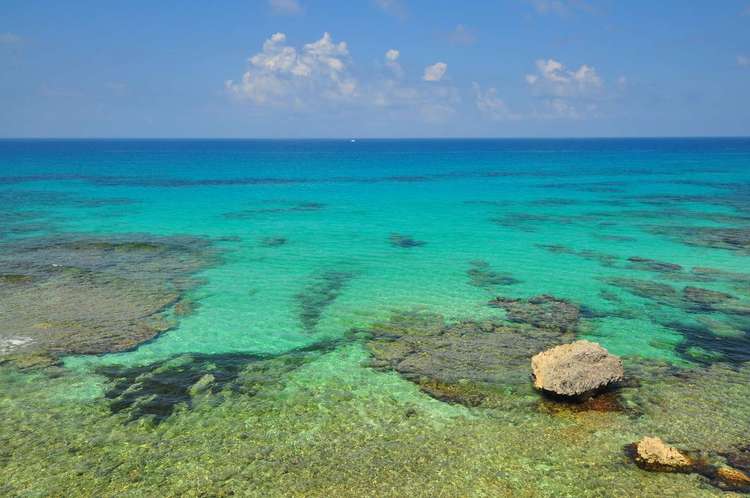 Caribbean Casa – Casita Isladise Preview 0
