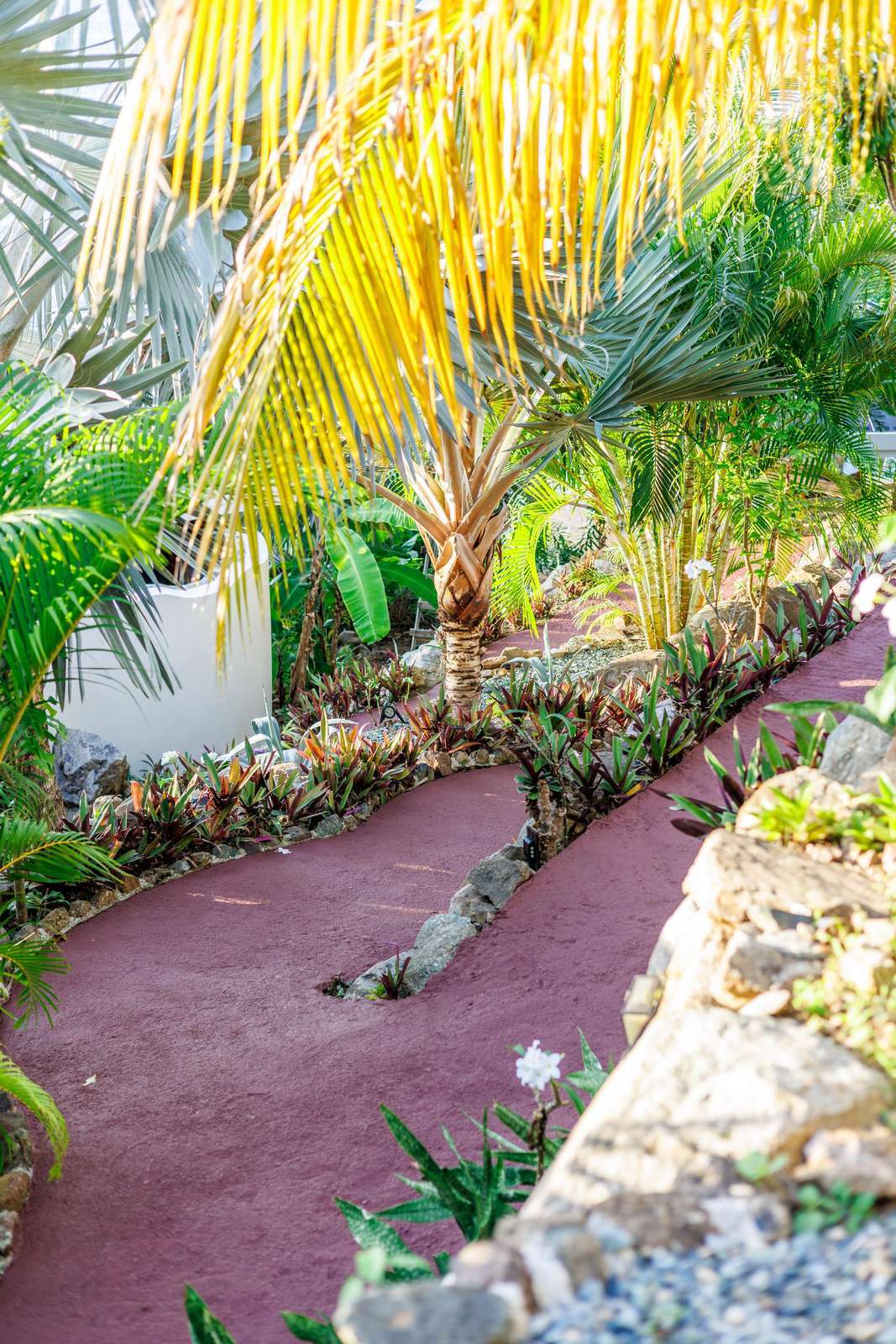 Lush tropical garden path leading to serene relaxation