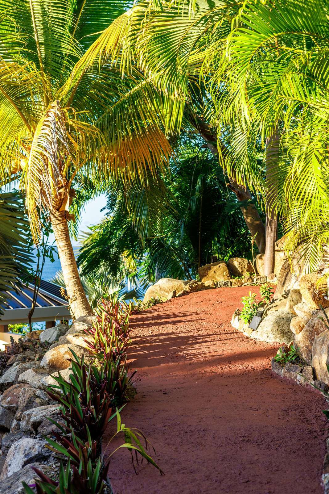 Shaded tropical pathway inviting peaceful garden strolls