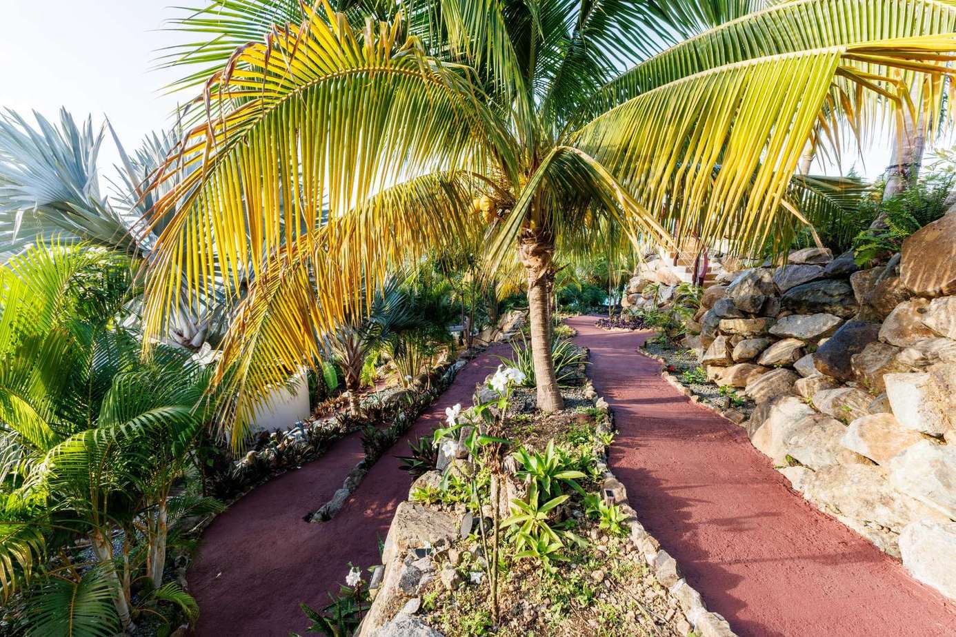Tropical garden pathway leading to serene outdoor retreat