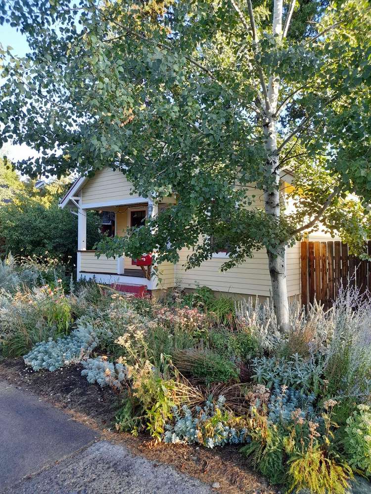 Alpine Cottage Preview 0