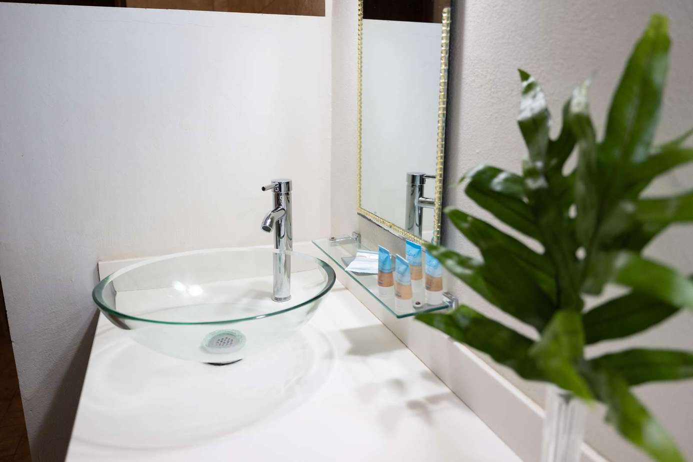 Sleek bathroom with modern glass vessel sink and fresh greenery