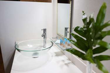 Sleek bathroom with modern glass vessel sink and fresh greenery