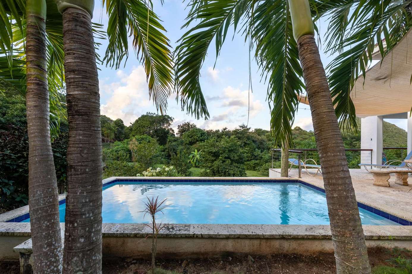 Tranquil poolside retreat framed by lush palm trees
