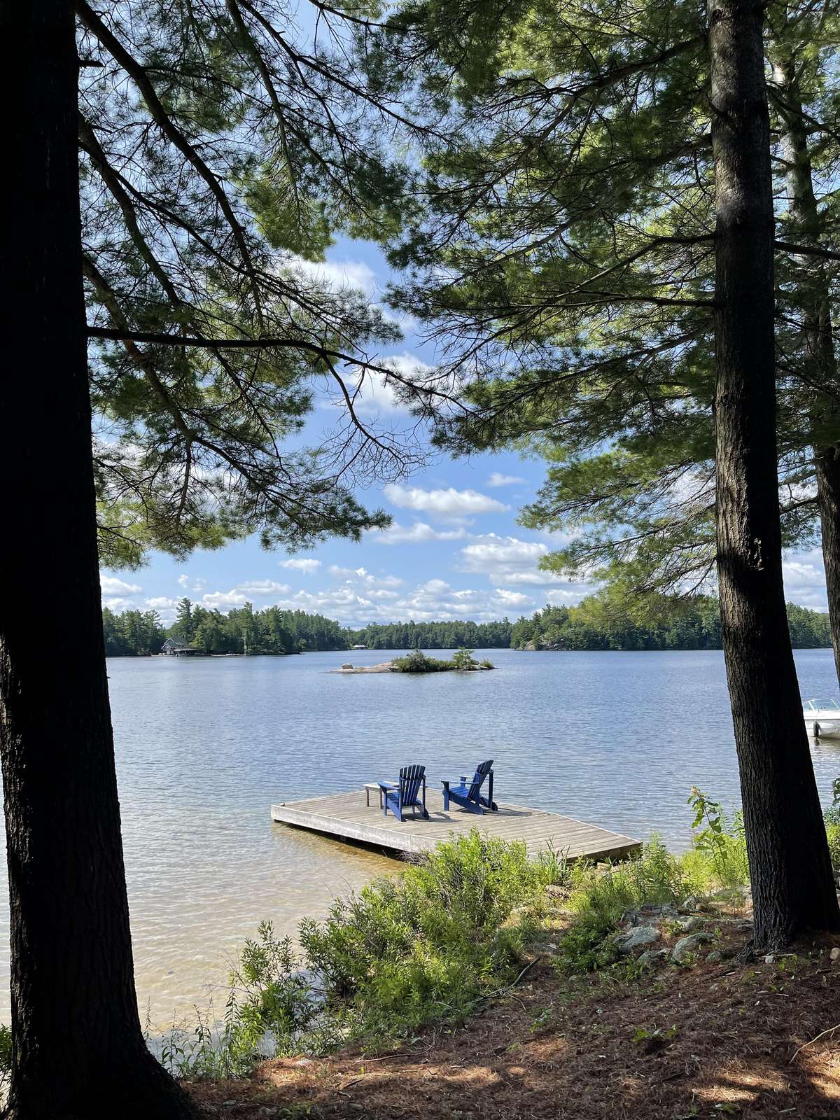 Blueberry Bay on Tobin Island Preview 0