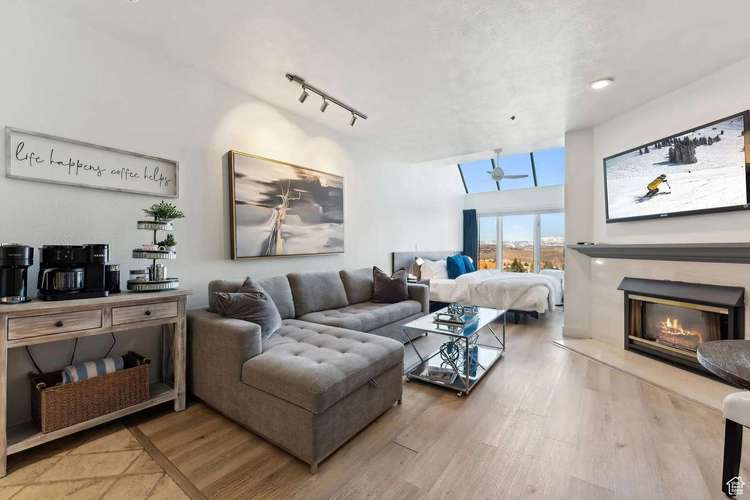 166 Lodge at Mtn Village Preview 0