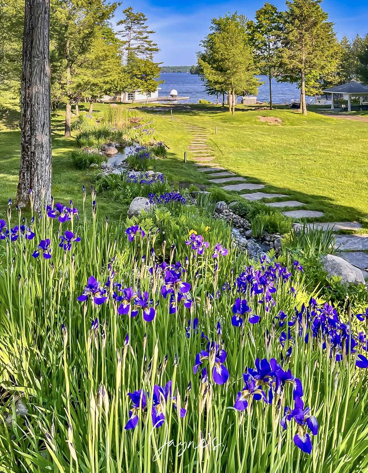 Cottage, Main Upper Deck & Seating