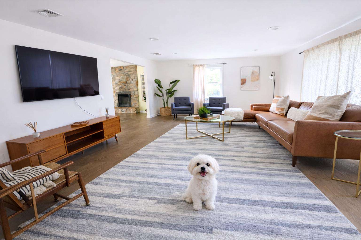 Bring one precious fur baby. - property
