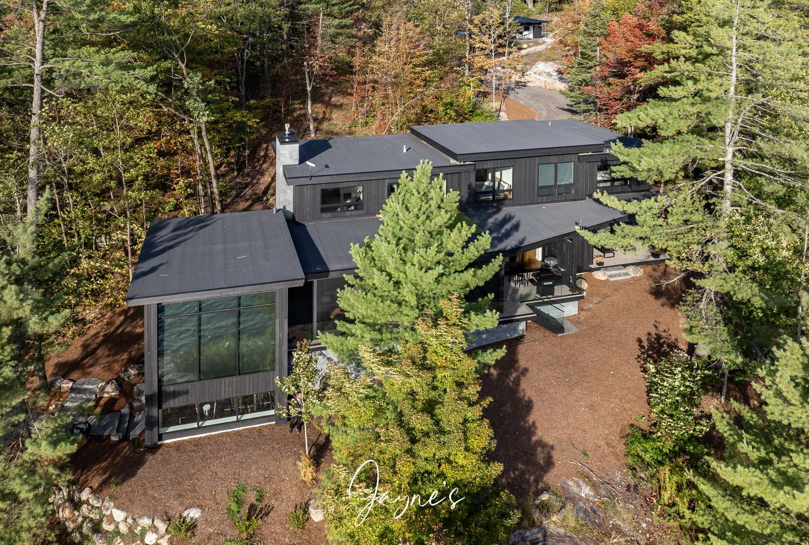 Secluded modern cabin nestled in vibrant autumn woods