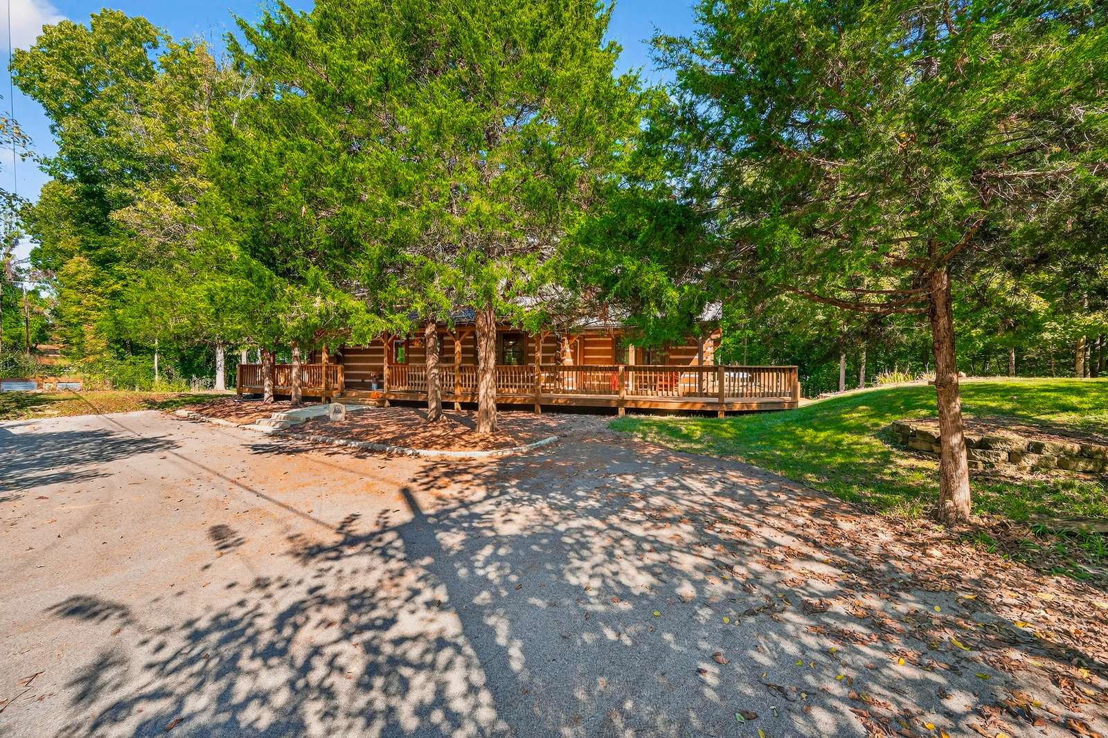 Secluded cabin retreat surrounded by towering pine trees