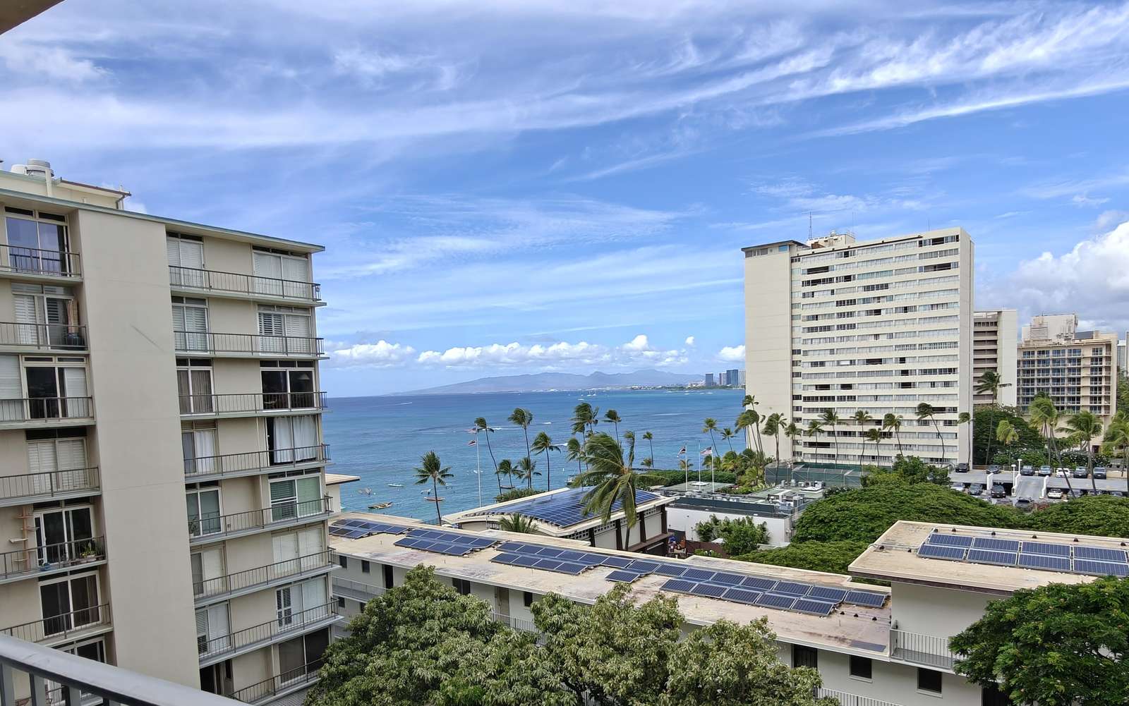 Balcony view overlooking palm trees and ocean horizon
