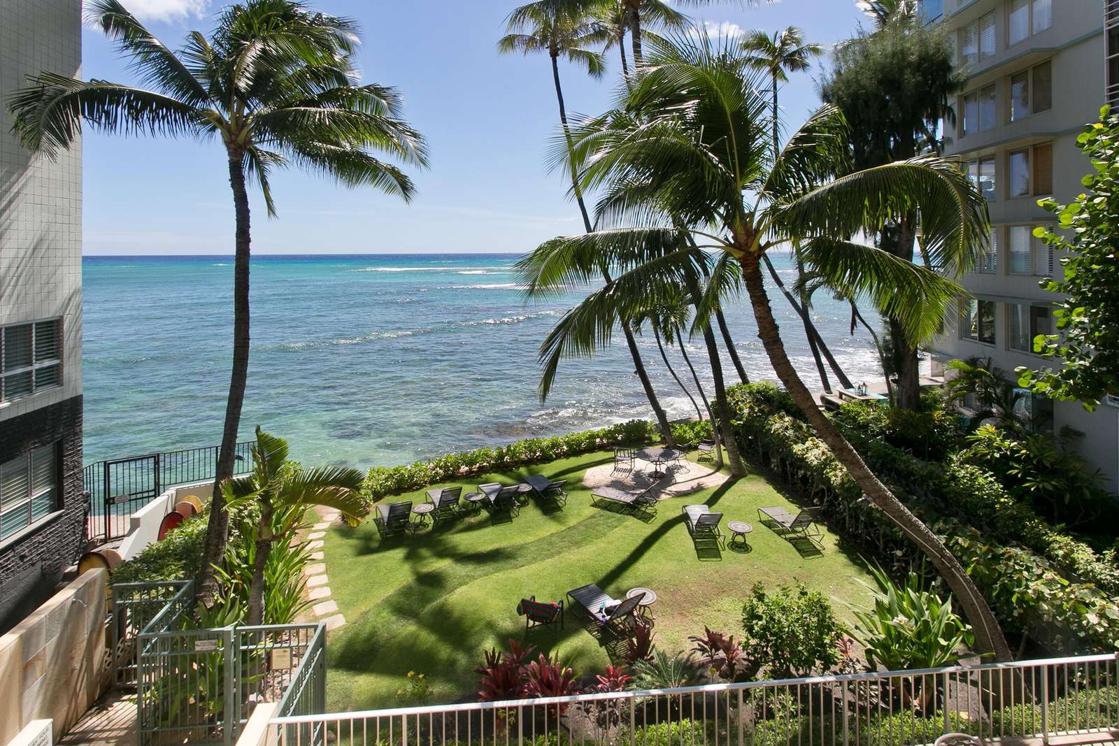 Oceanfront patio with lush garden and palm tree views