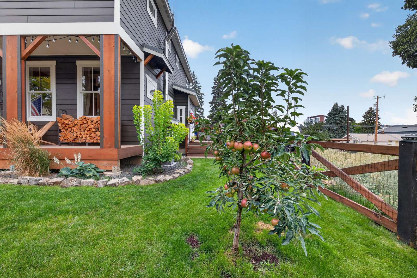Lush green yard with a young apple tree, bordered by a wooden fence and adjacent to a dark gray house with wood trim.