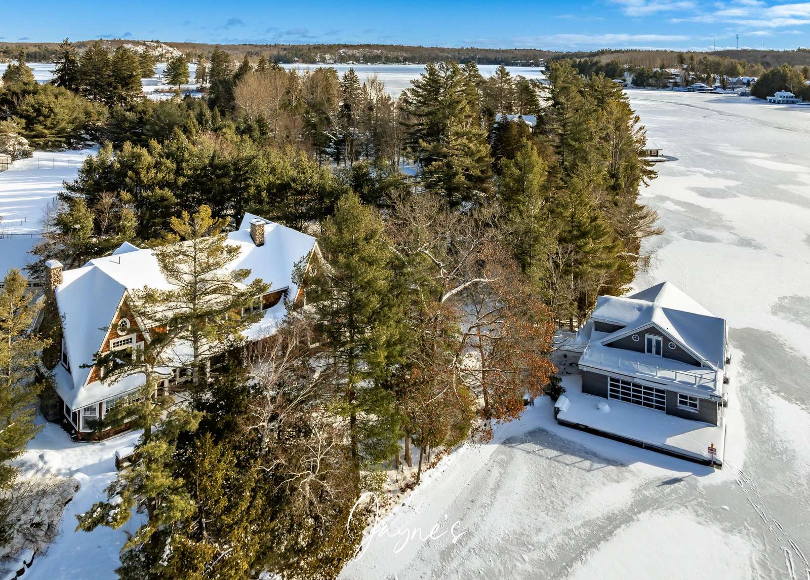 Auld Lang Syne Preview 0