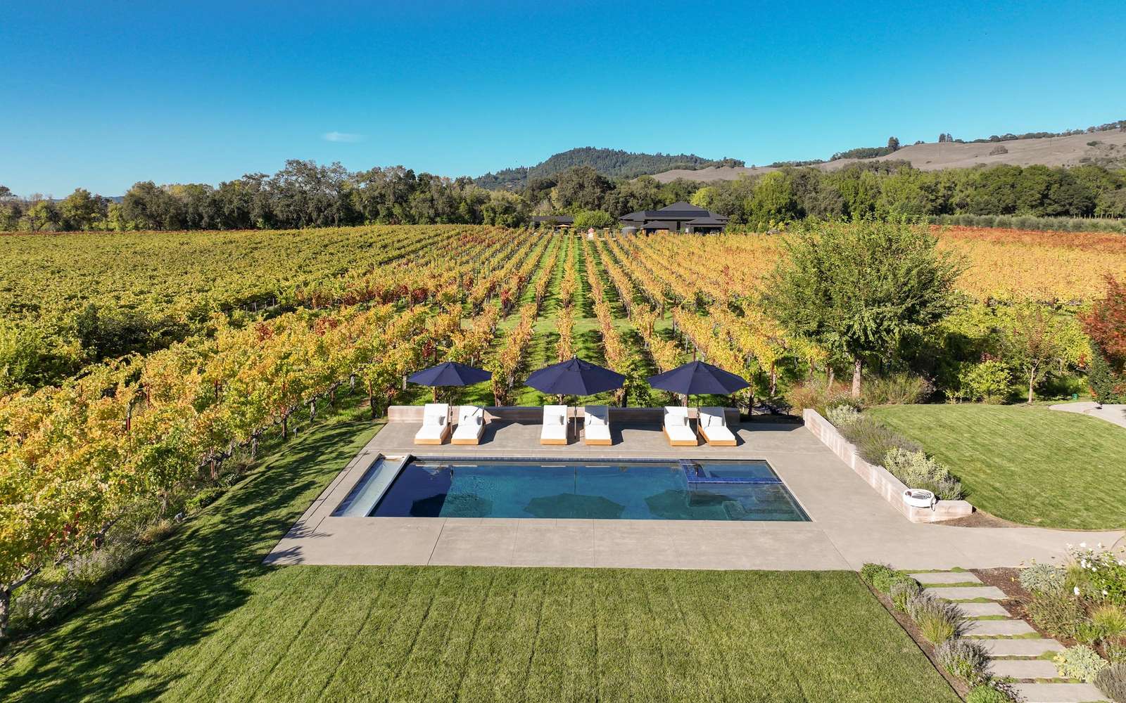 Vineyard Daydream Preview 0