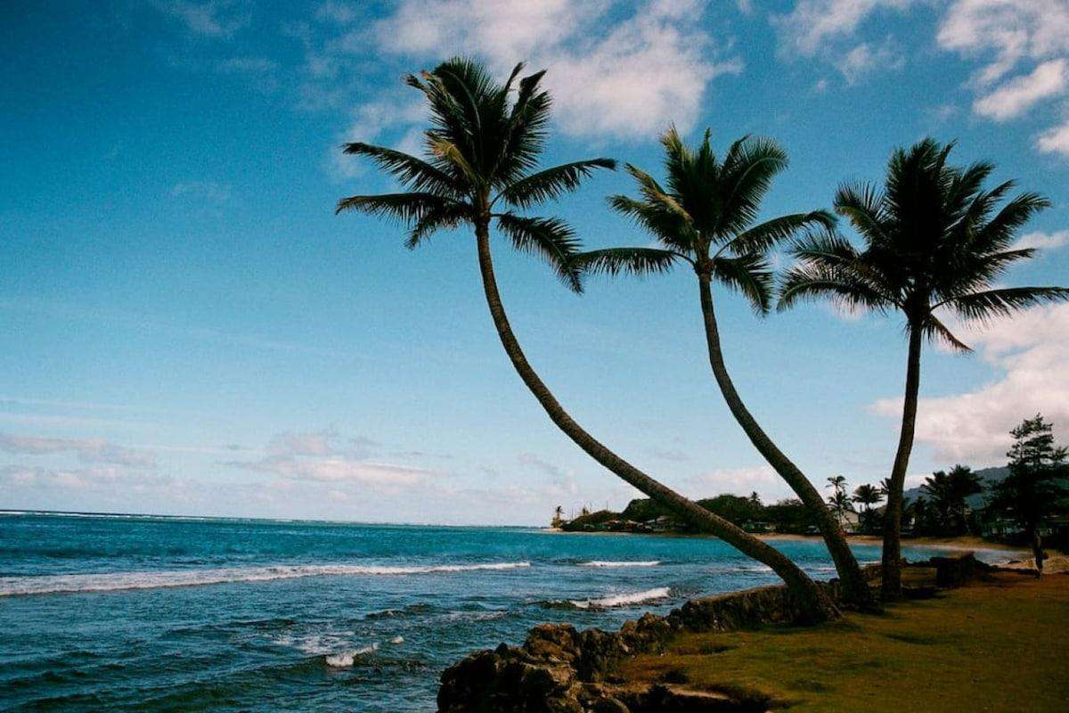 HAUULA PRIDE Unit 4 (White Downstairs) Preview 0