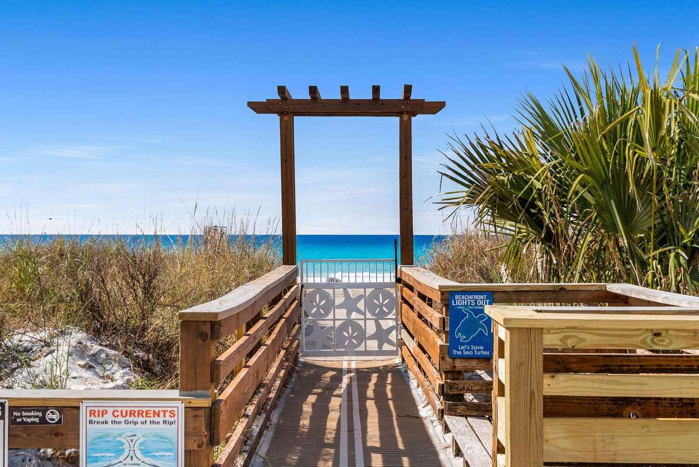 Top of the Gulf #601 | Siesta Studio