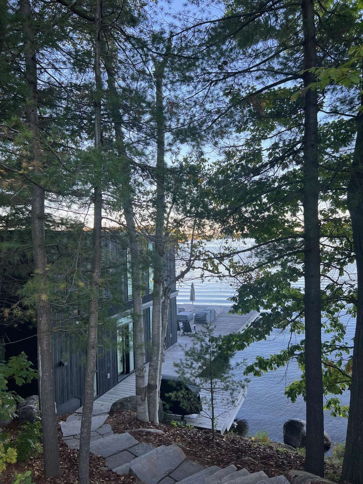 Tranquil lakeside deck framed by towering trees