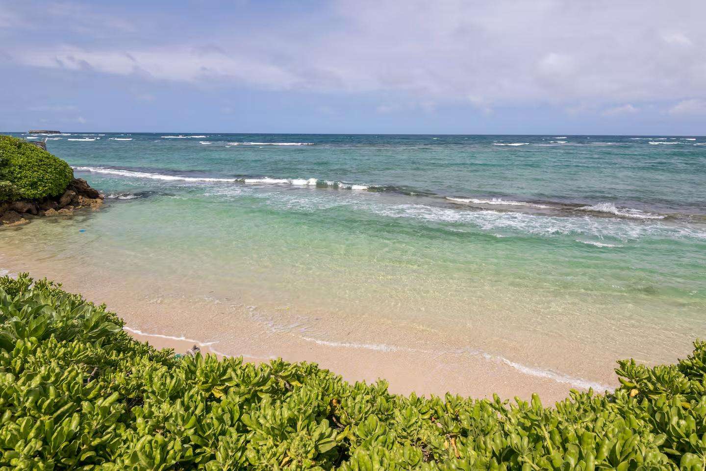 VICTORIA’S Coral Nest Preview 0