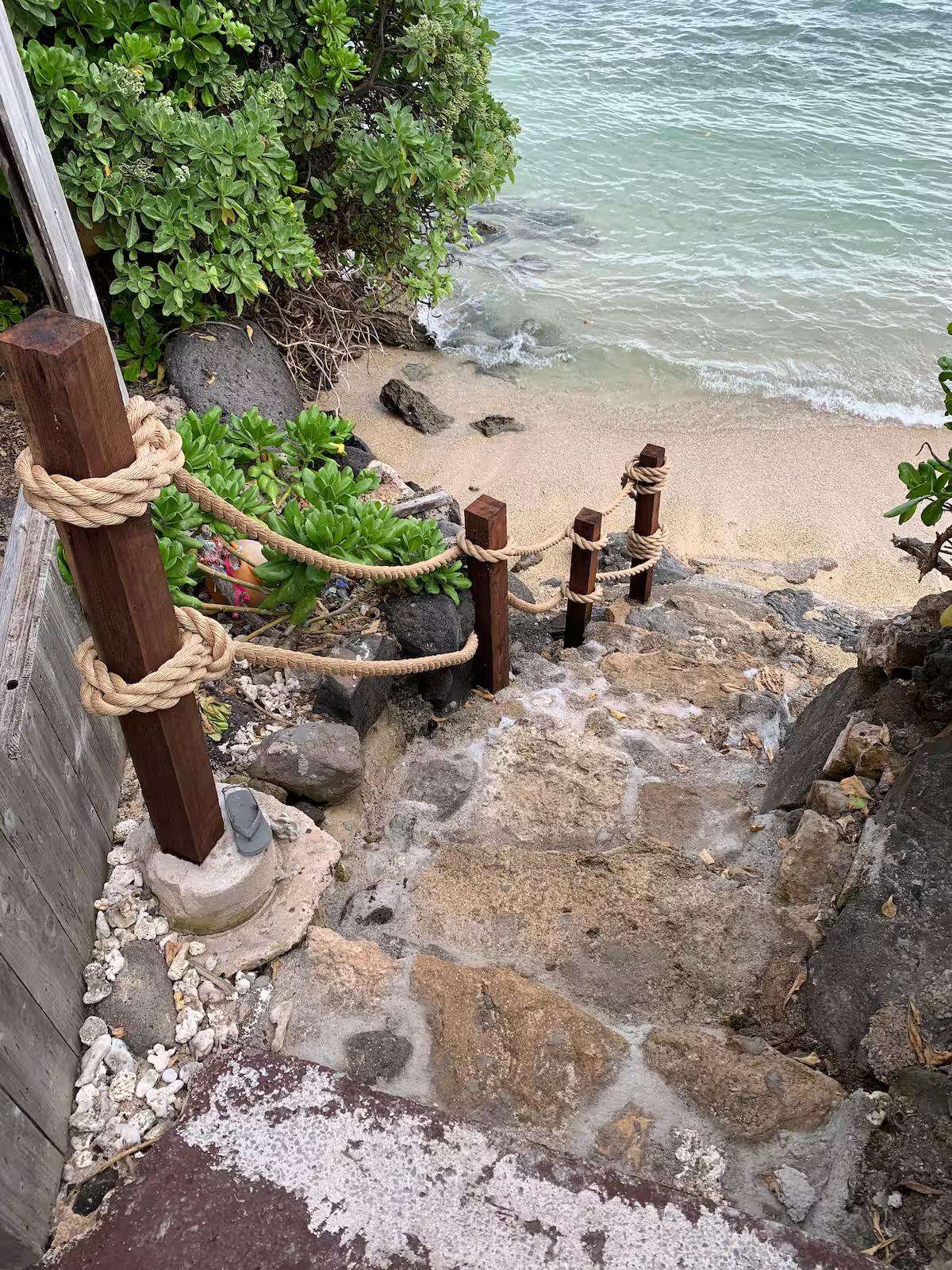 VICTORIA’S Blue Coral Nest Preview 0