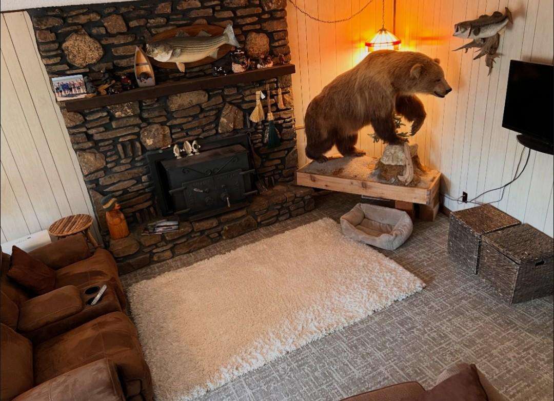 Bears Den Lakefront-Private-Huge Lake View - property