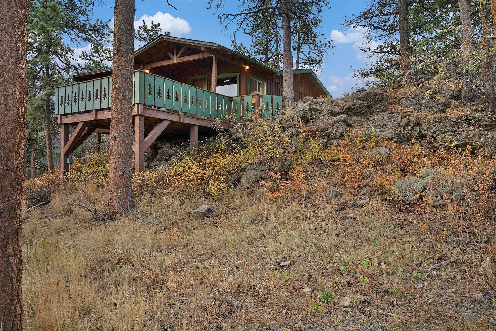 Cabin retreat nestled among towering pine trees - property