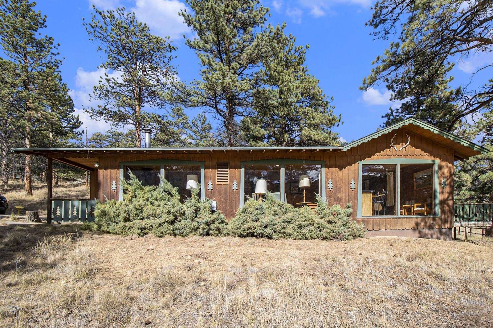 Cozy rustic cabin surrounded by towering pine trees - property