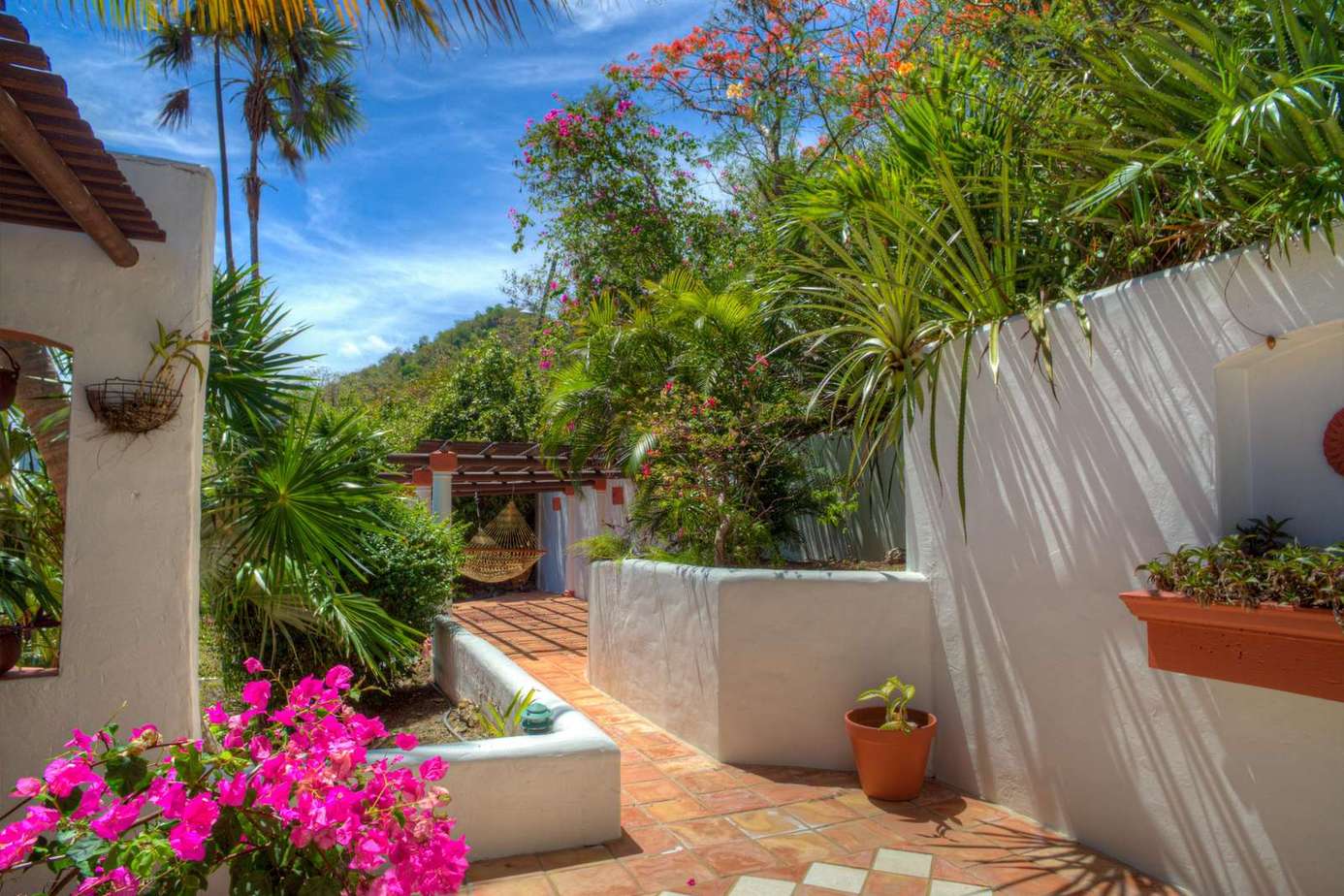 Sunlit patio oasis with vibrant tropical blooms and cozy seating