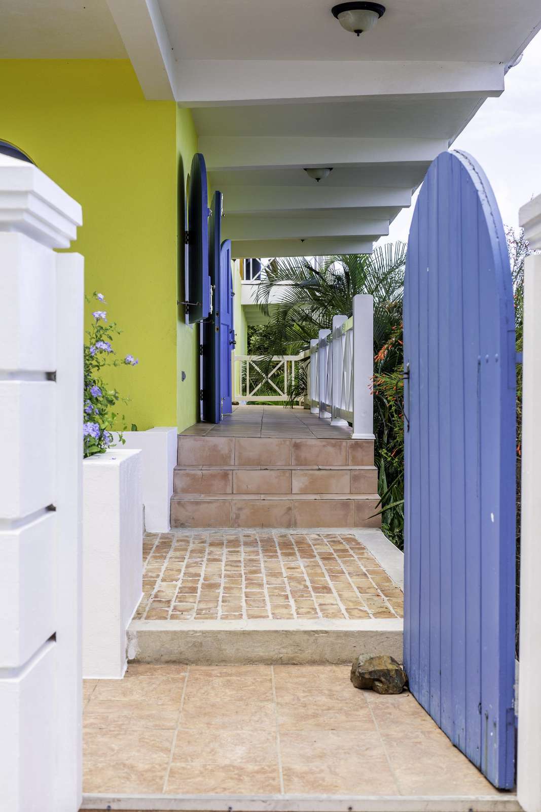 Charming courtyard entrance with vibrant colors and cozy ambiance