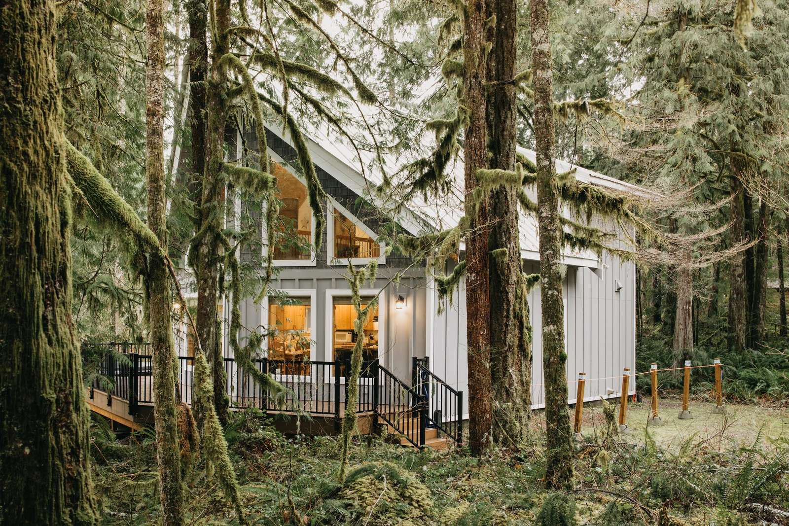 Cozy forest cabin retreat with warm glowing windows - property