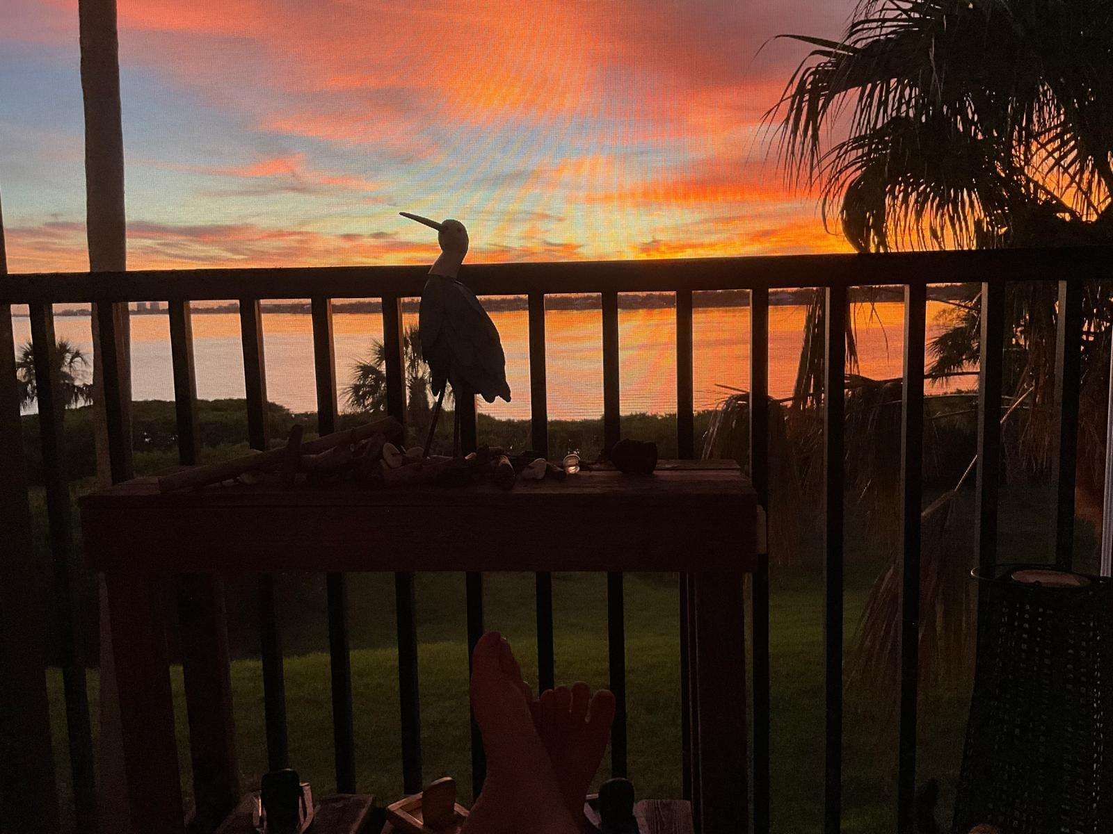 Mystic Morning Preview 0