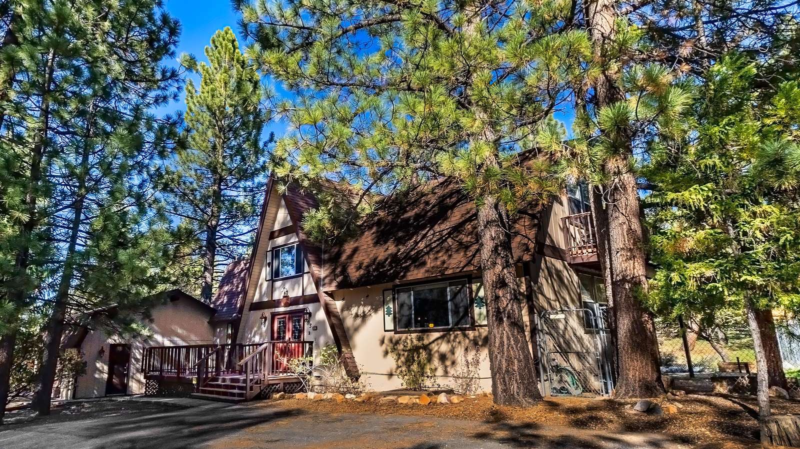 Moose Moritz Preview 0