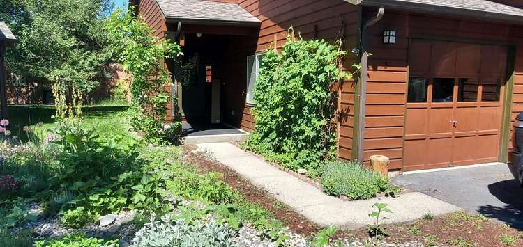 Olive Tree Retreat Preview 0