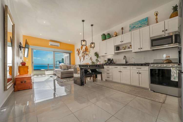 Tres Chiles Penthouse Preview 3