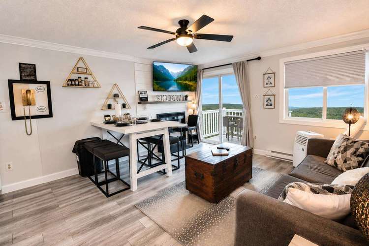 290 Mountain Lodge Preview 0