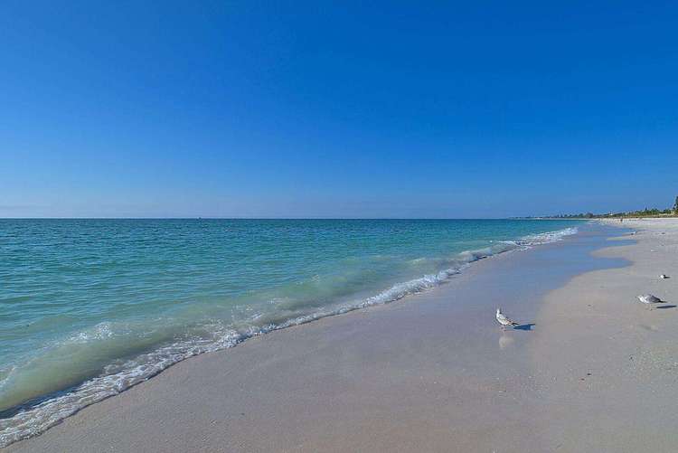 Unit # 7 – Gulf to Bay Club Preview 0