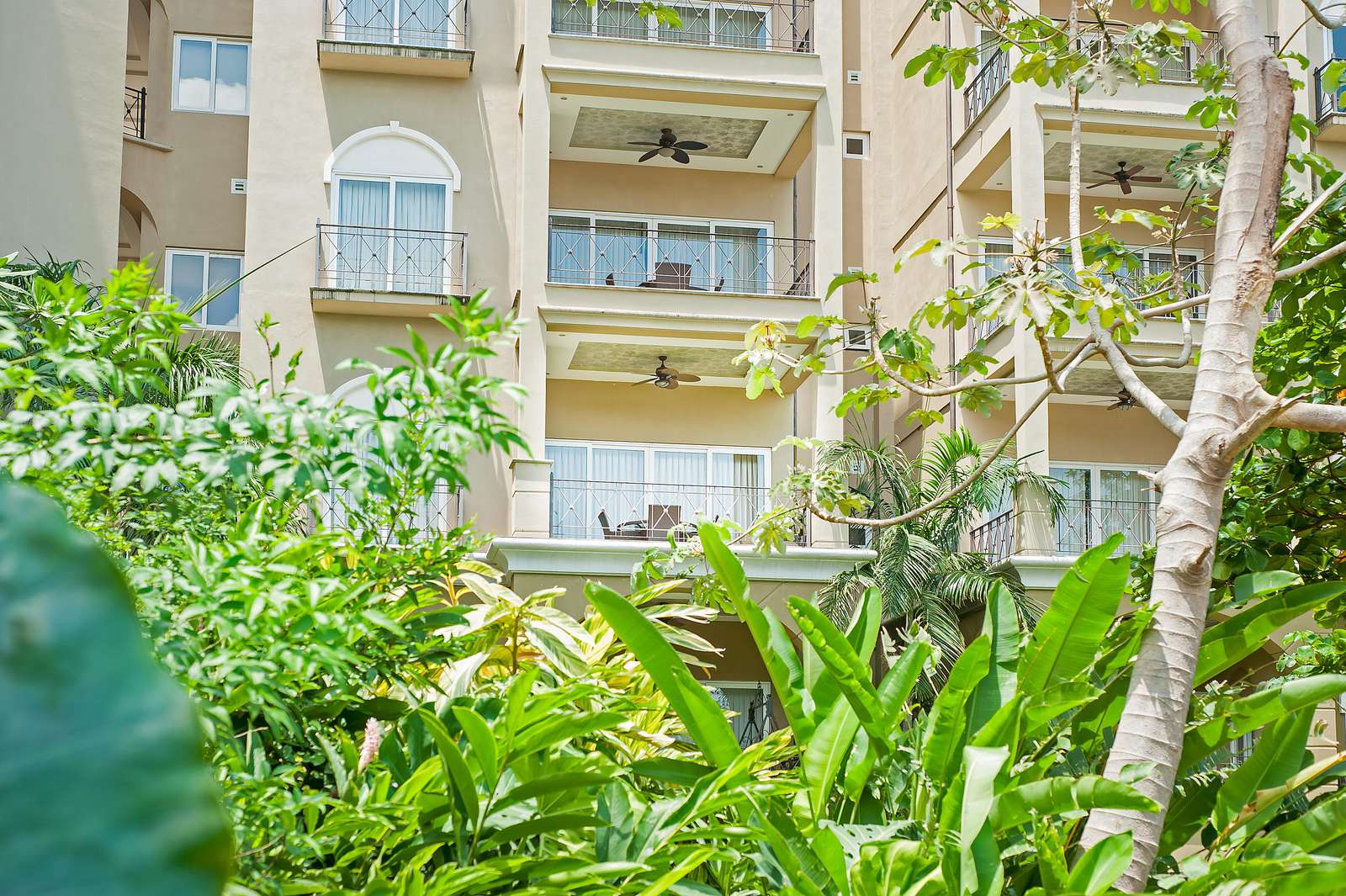 Balcony view of condo building