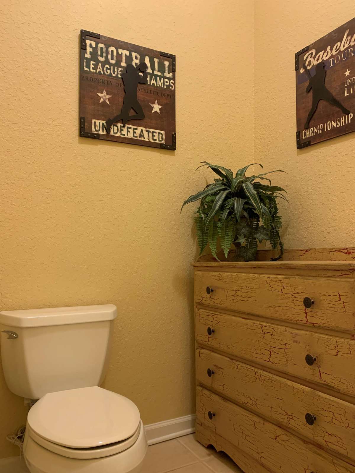 Master bathroom toilet area