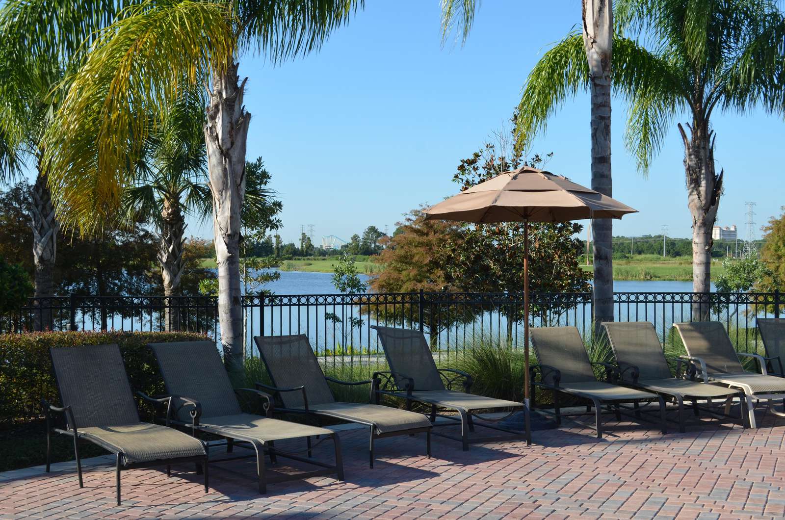 Lounge chairs around pool