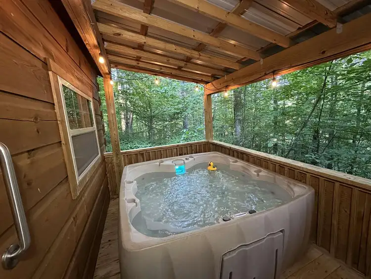 “Lovey Dovey: Your Romantic Asheville Cabin Escape” Preview 0