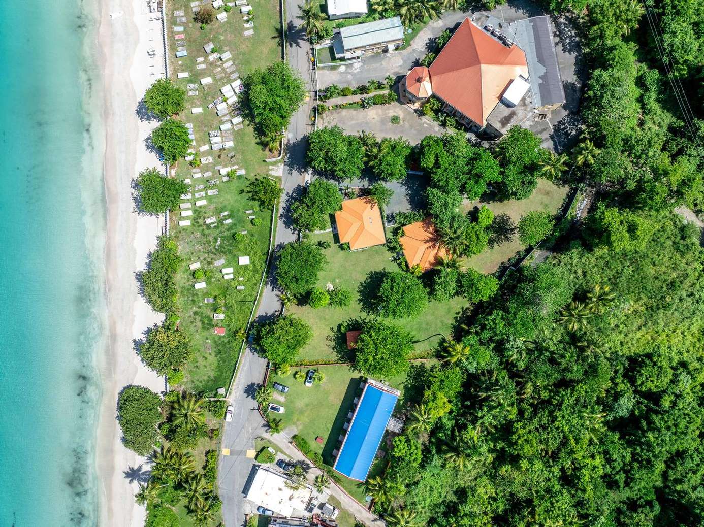 Secluded beachfront retreat surrounded by lush greenery