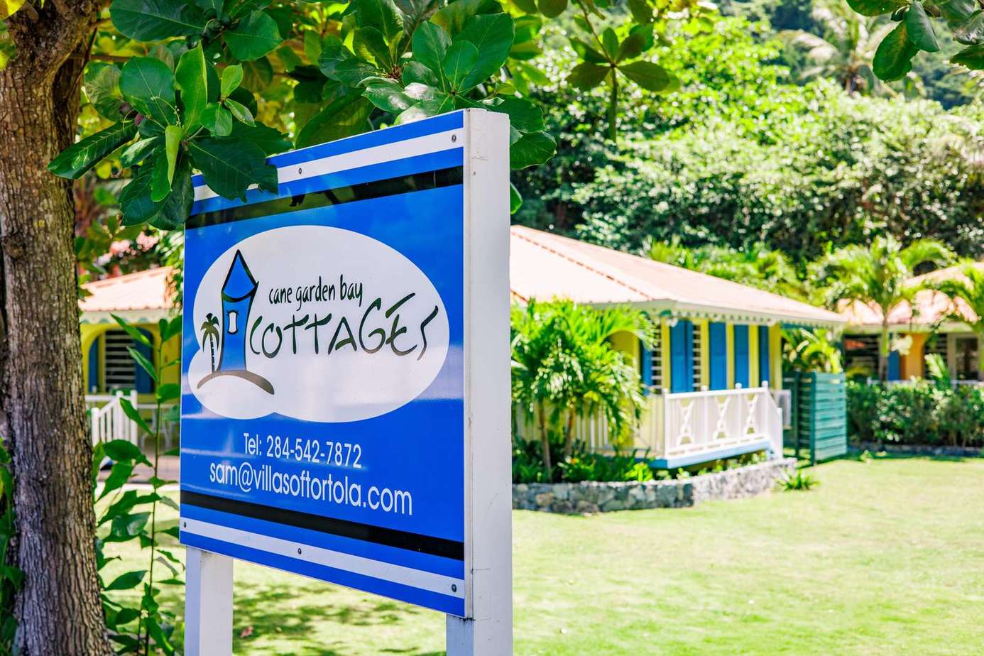 Charming cottage surrounded by lush tropical greenery