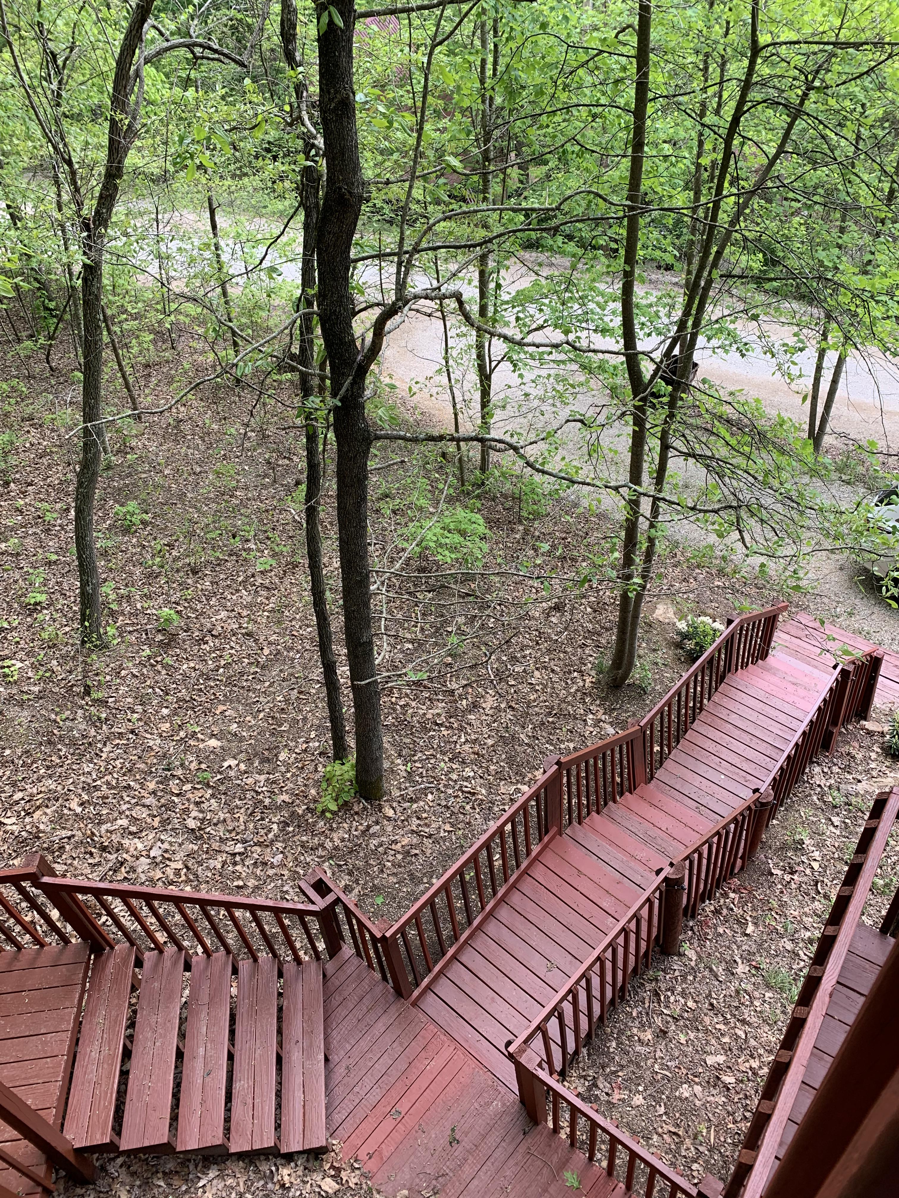 Sherwood Forest