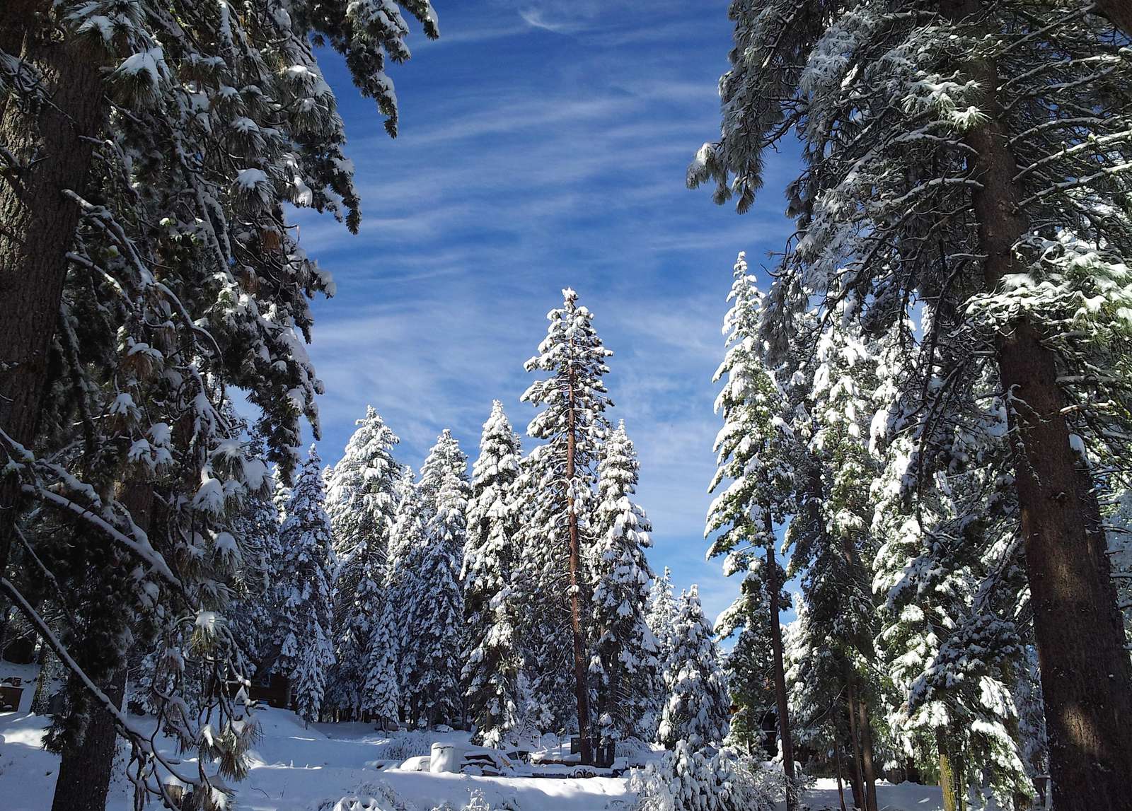 Patio Winter View