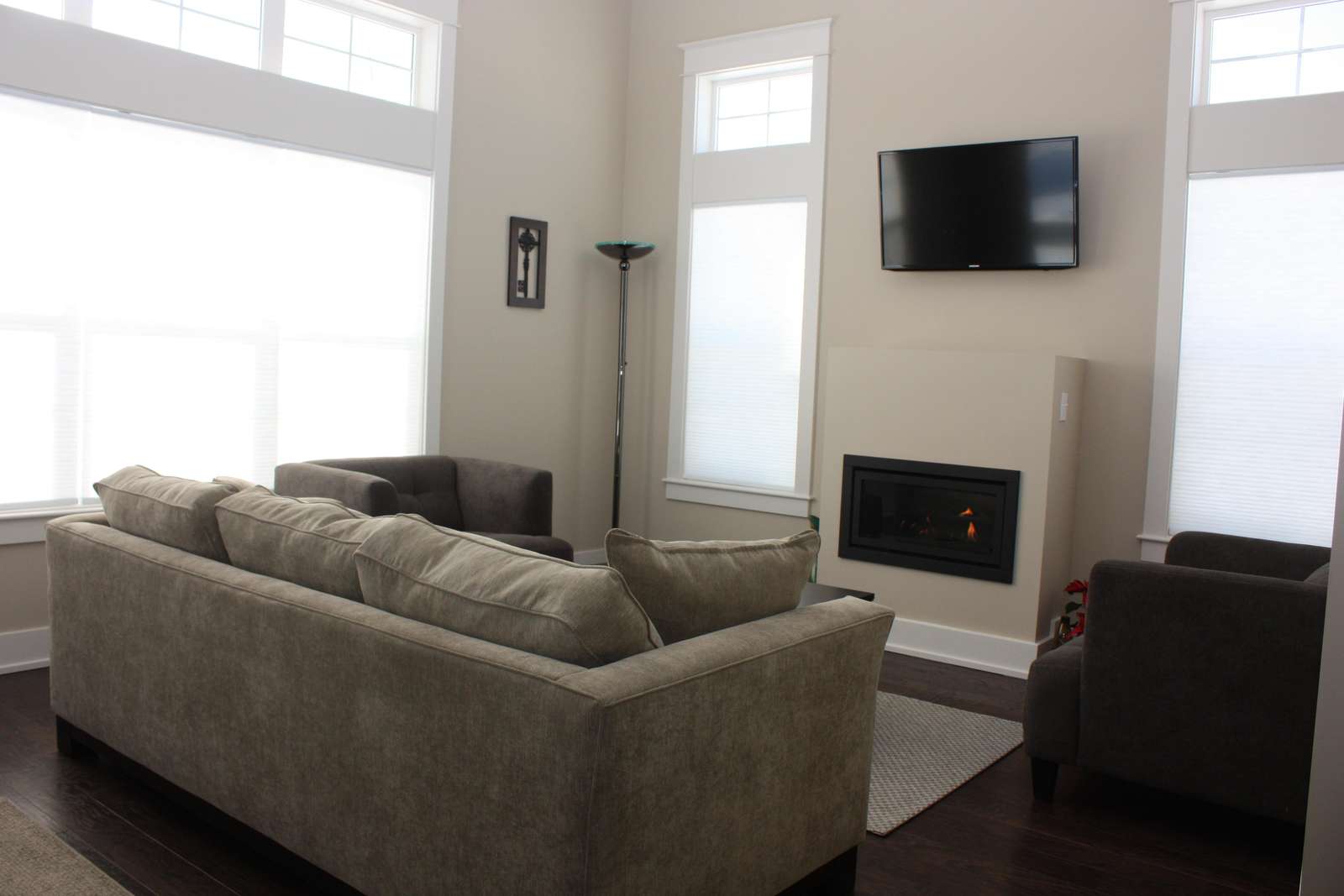 Comfortable living room with fireplace, TV and fold out couch