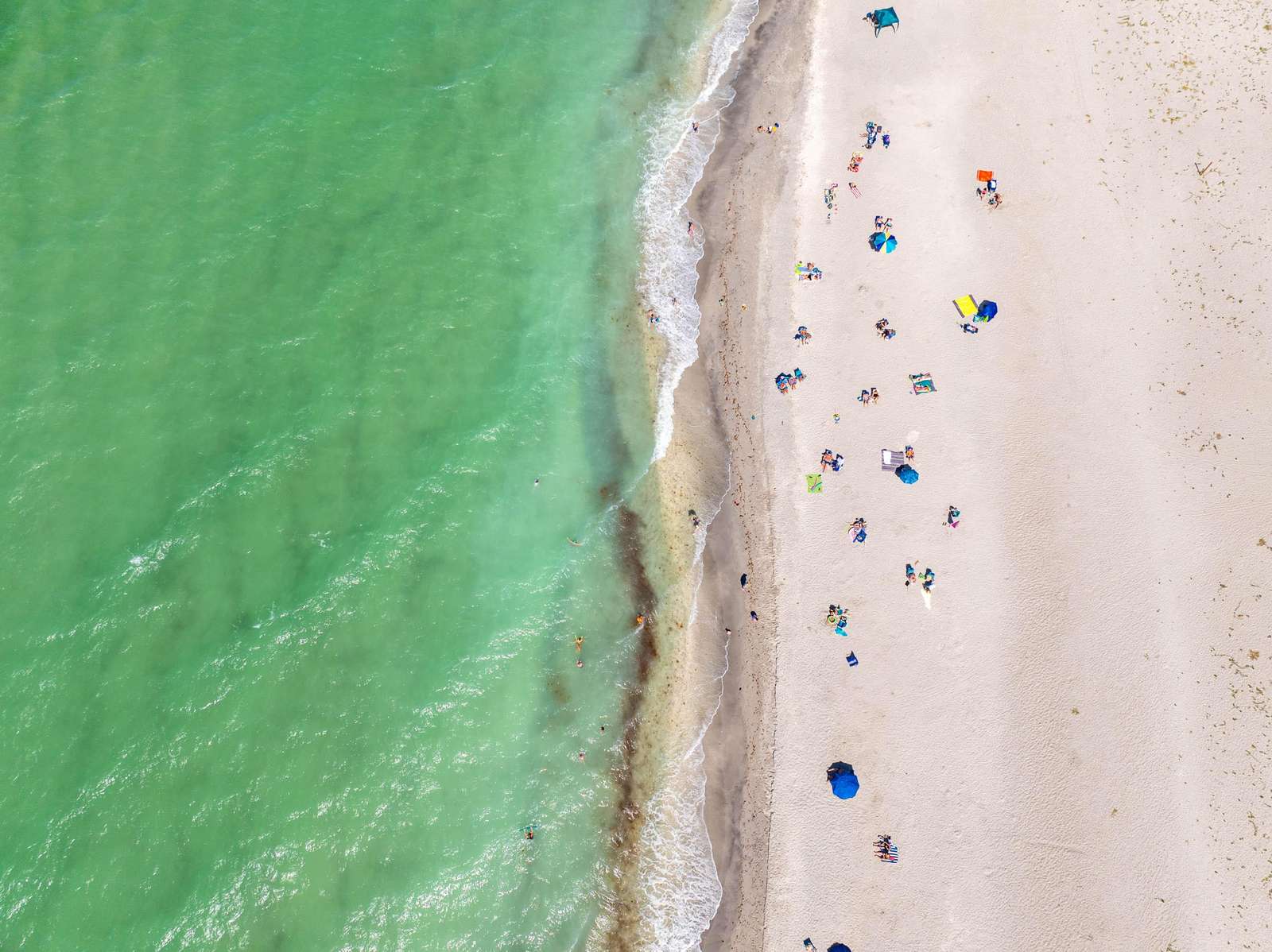 Aerial Beach View