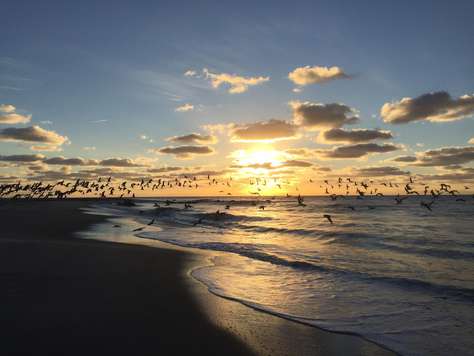 Cape May Beach