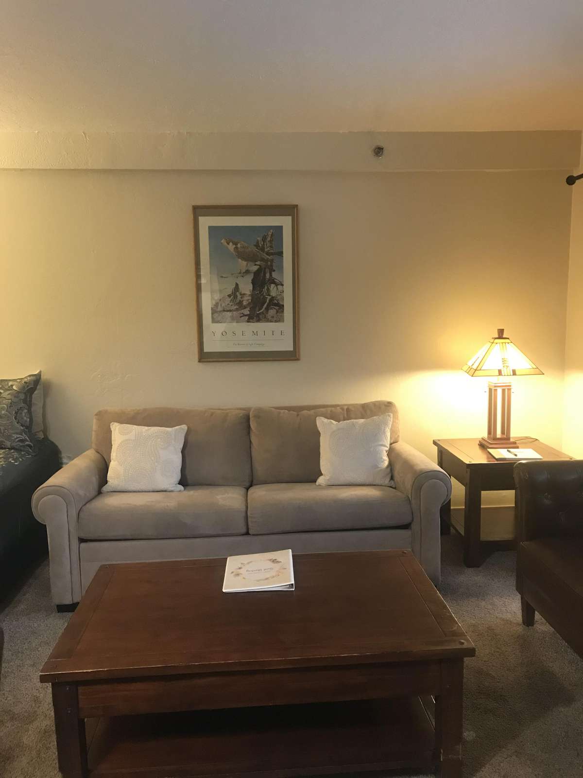 Your pull-out queen size sofa sleeper.