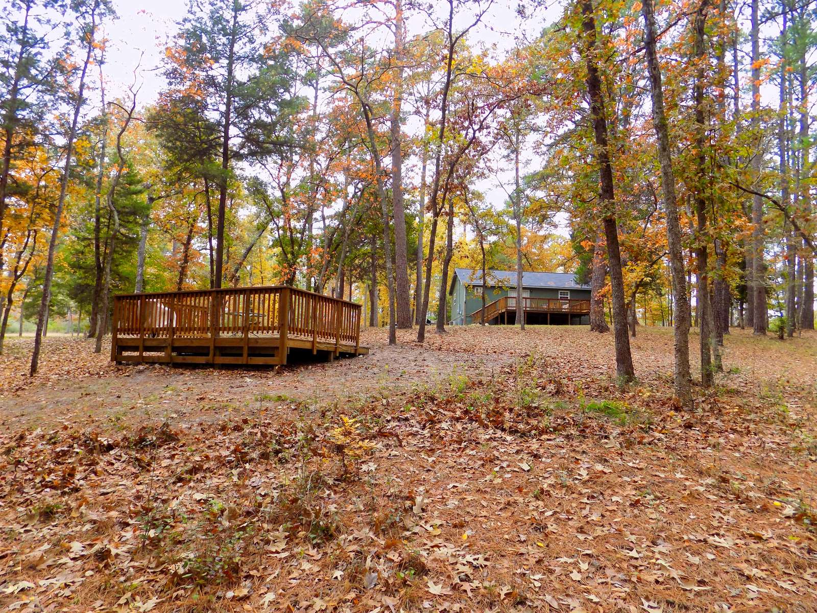 Looking up from the creek back towards the home.