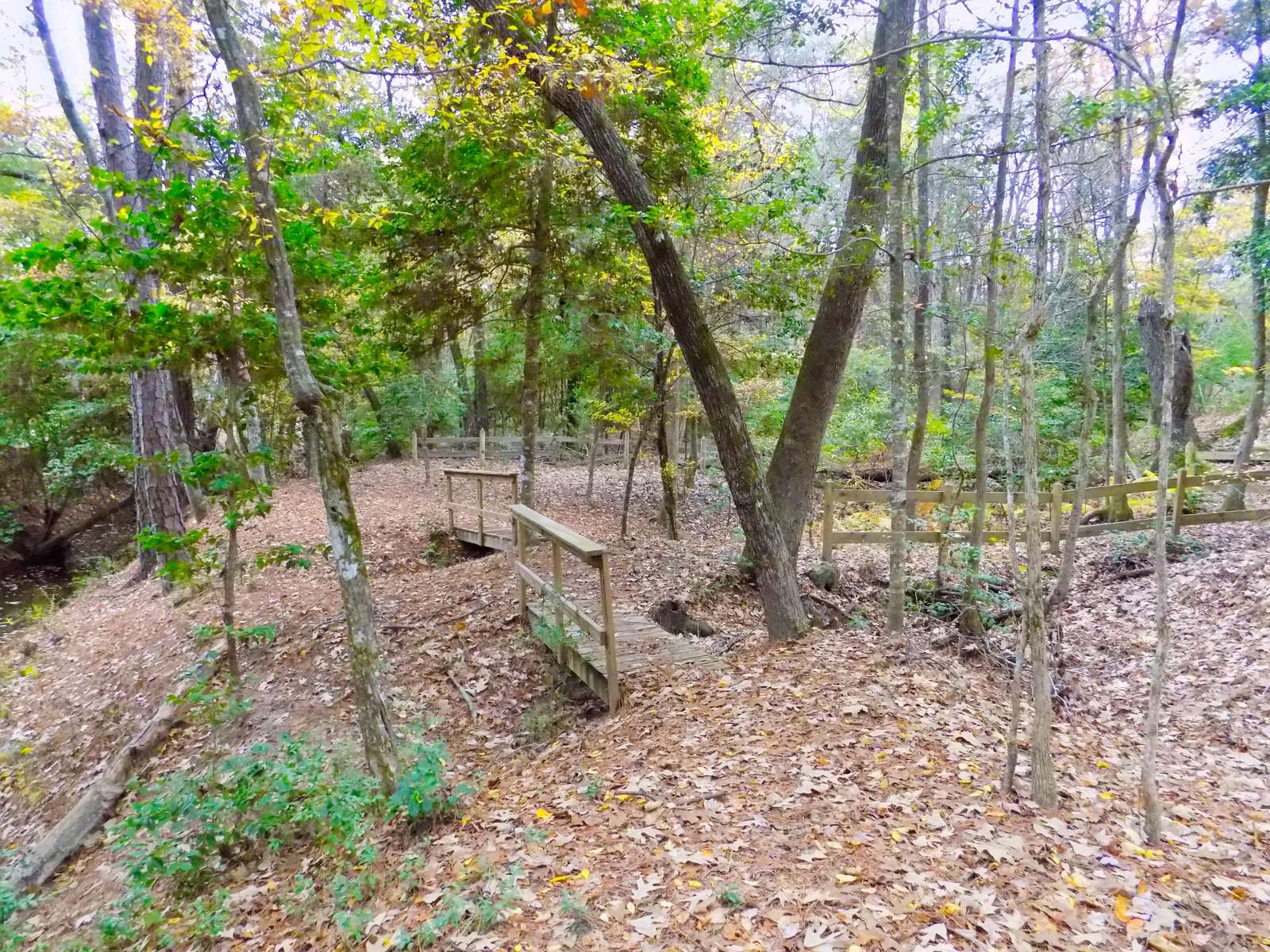 There are small bridges and benches scattered around the property.